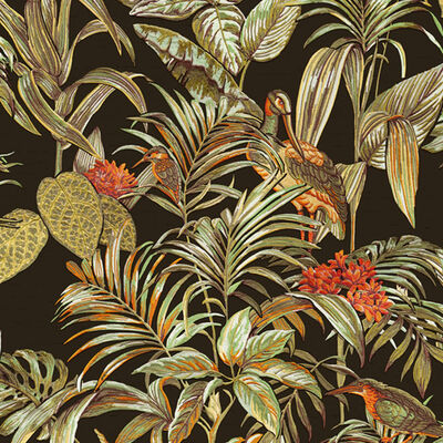 DUTCH WALLCOVERINGS Tapetti Bird-of-Paradise musta