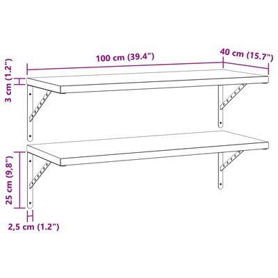 vidaXL Seinähyllyt 2 kpl 100x40 cm musta ruostumaton teräs