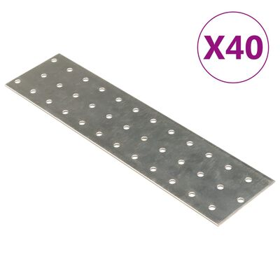 vidaXL Reikälevyt 40 kpl 2 mm 240x60 mm galvanoitu teräs