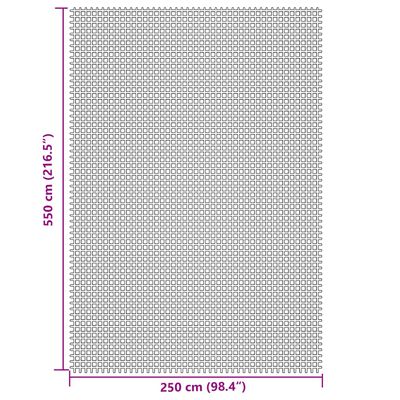 vidaXL Retkeilymatto vaaleanharmaa 5,5x2,5 m