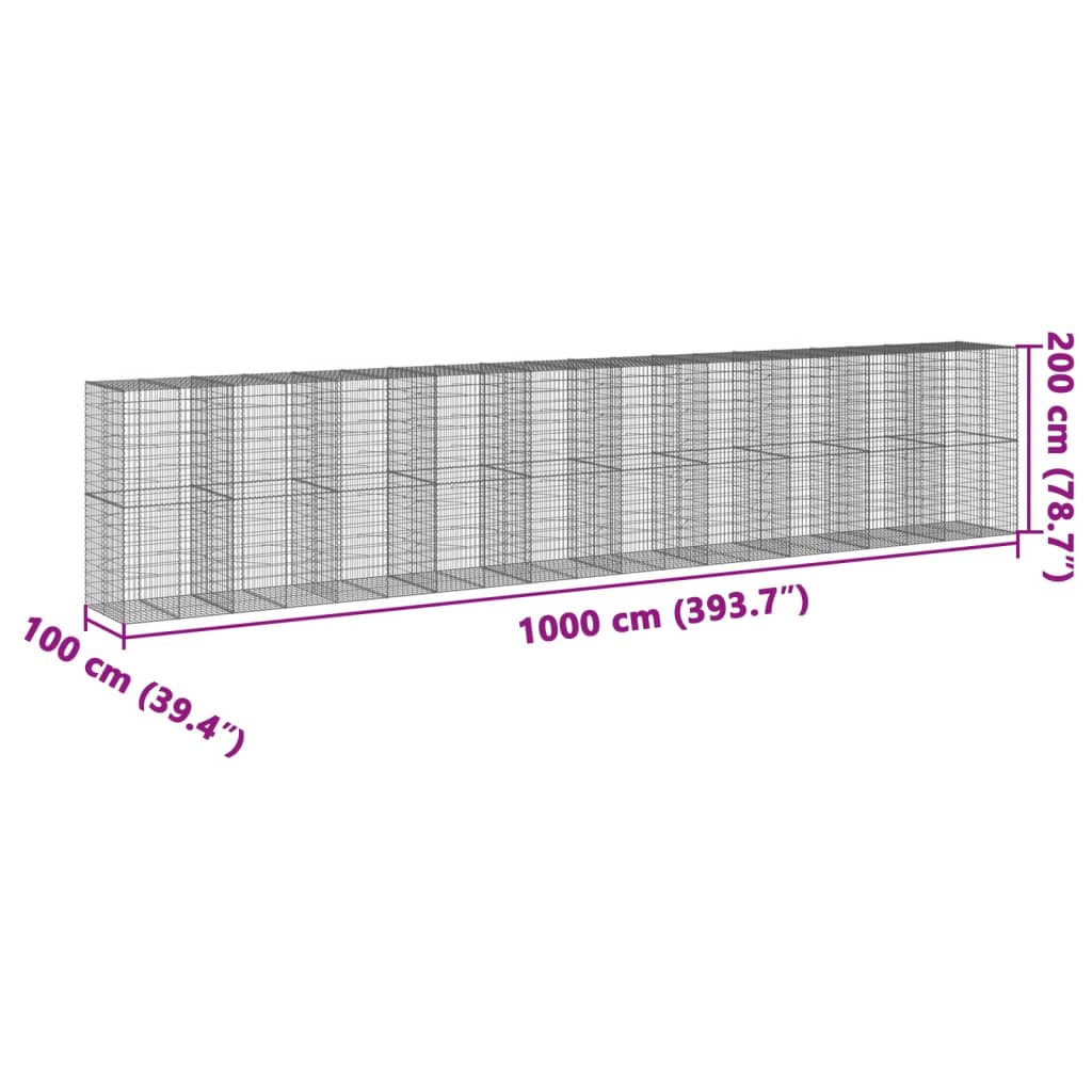 vidaXL Kivikori katolla 1000x100x200 cm galvanoitu rauta