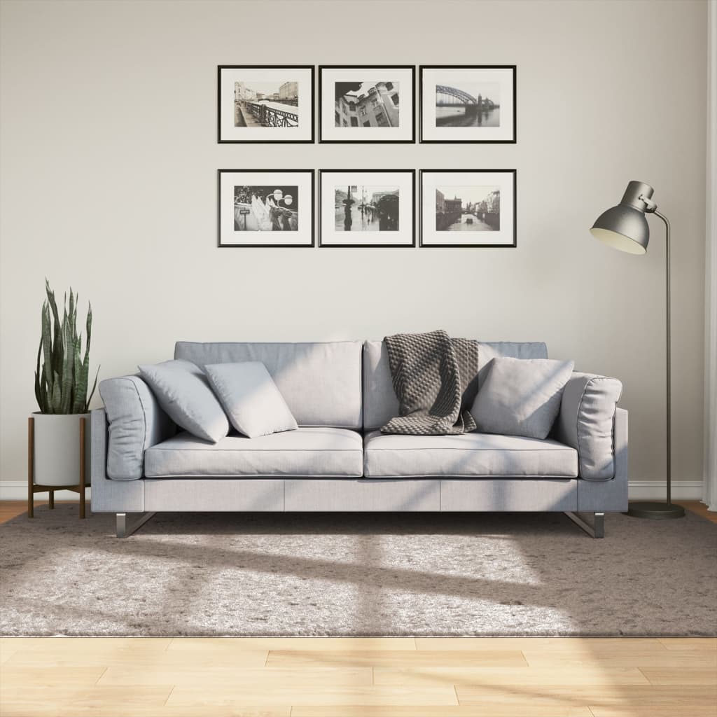 vidaXL Pörrömatto PAMPLONA korkeanukka moderni beige 160x230 cm