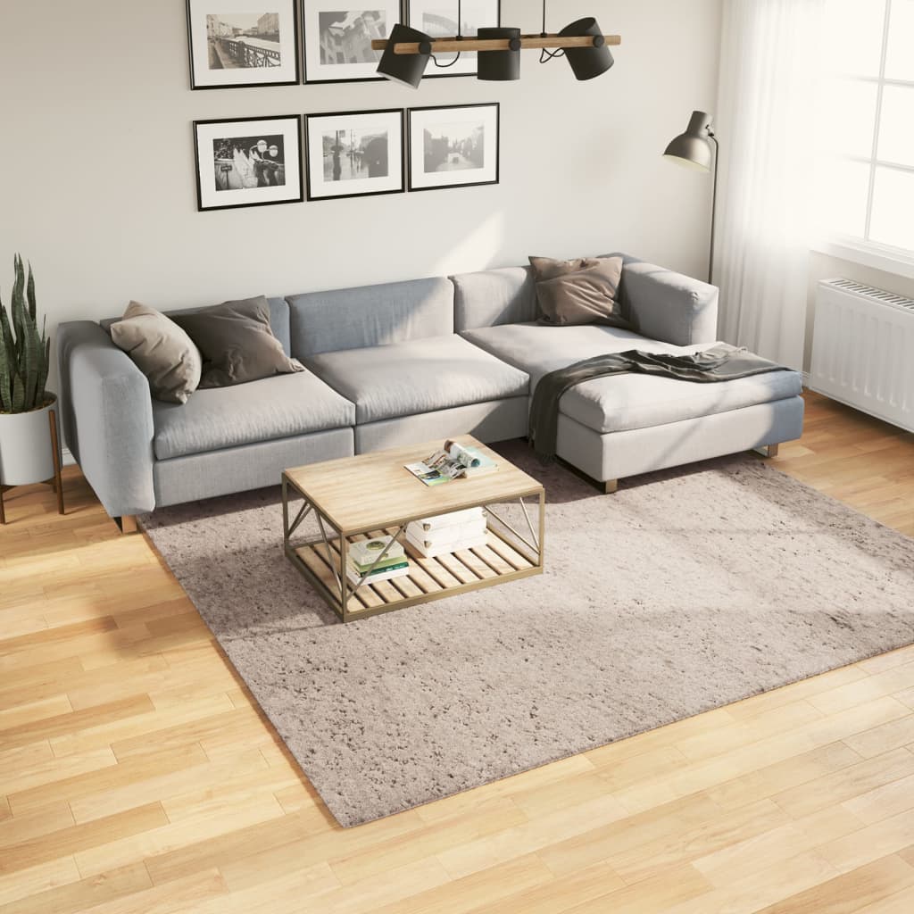 vidaXL Pörrömatto PAMPLONA korkeanukka moderni beige 240x240 cm